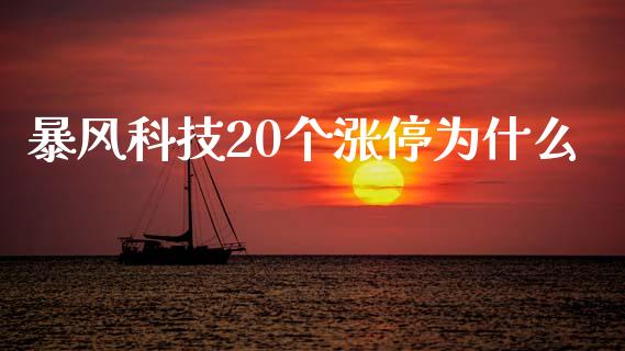 暴风科技20个涨停为什么_https://m.lcjysmgs.com_股权投资_第1张