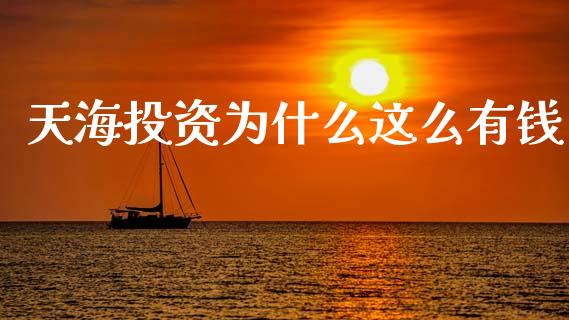 天海投资为什么这么有钱_https://m.lcjysmgs.com_股权投资_第1张