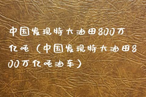 中国发现特大油田800万亿吨（中国发现特大油田800万亿吨油车）_https://m.lcjysmgs.com_股票交易_第1张