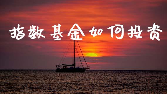 指数基金如何投资_https://m.lcjysmgs.com_金融服务_第1张