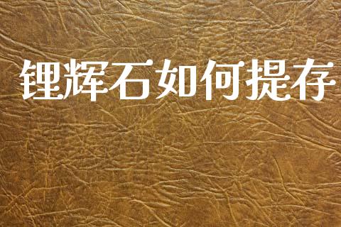 锂辉石如何提存_https://m.lcjysmgs.com_股权投资_第1张