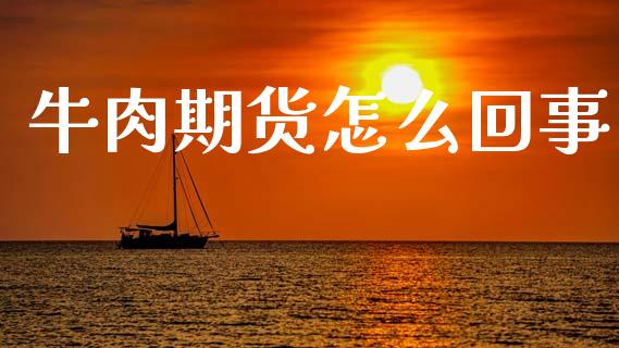 牛肉期货怎么回事_https://m.lcjysmgs.com_股权投资_第1张