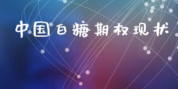 中国白糖期权现状_https://m.lcjysmgs.com_金融服务_第1张