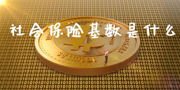 社会保险基数是什么_https://m.lcjysmgs.com_股票交易_第1张