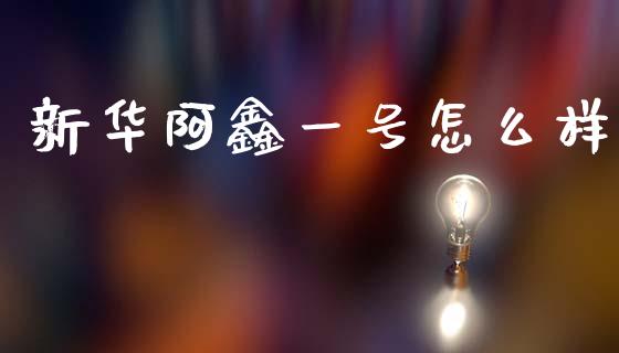 新华阿鑫一号怎么样_https://m.lcjysmgs.com_金融服务_第1张