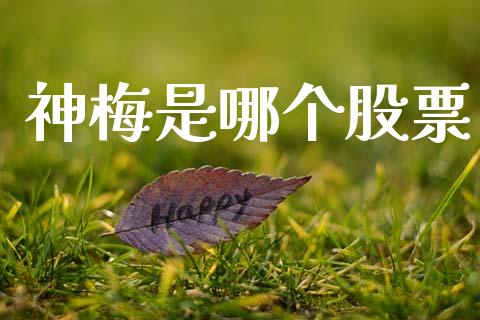 神梅是哪个股票_https://m.lcjysmgs.com_股权投资_第1张