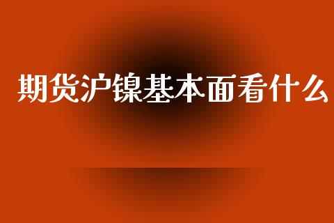 期货沪镍基本面看什么_https://m.lcjysmgs.com_基金管理_第1张