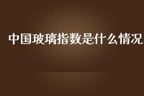 中国玻璃指数是什么情况_https://m.lcjysmgs.com_基金管理_第1张