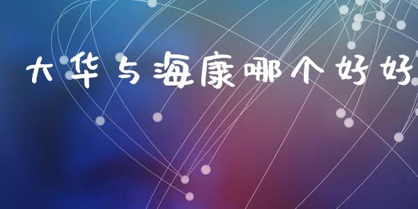 大华与海康哪个好好_https://m.lcjysmgs.com_股权投资_第1张