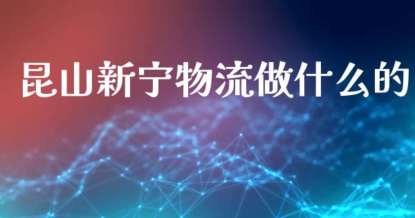 昆山新宁物流做什么的_https://m.lcjysmgs.com_金融服务_第1张