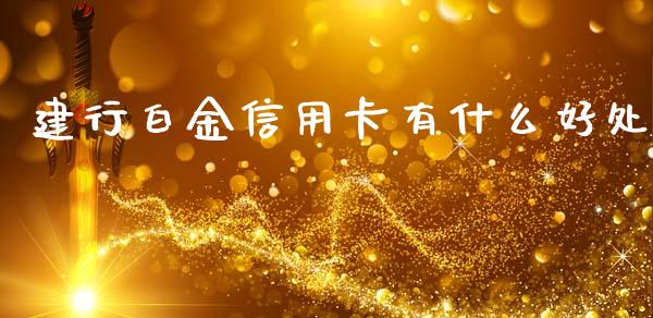 建行白金信用卡有什么好处_https://m.lcjysmgs.com_股票交易_第1张