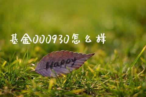 基金000930怎么样_https://m.lcjysmgs.com_股票交易_第1张