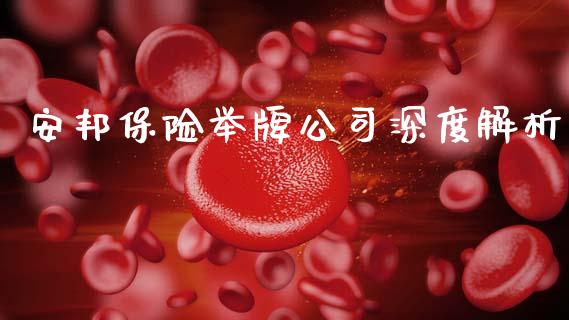 安邦保险举牌公司深度解析_https://m.lcjysmgs.com_金融服务_第1张