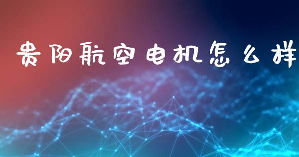 贵阳航空电机怎么样_https://m.lcjysmgs.com_金融服务_第1张