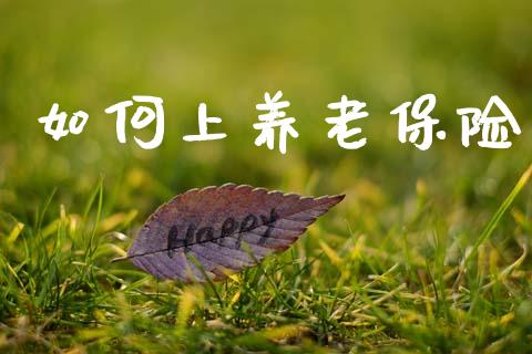 如何上养老保险_https://m.lcjysmgs.com_金融服务_第1张