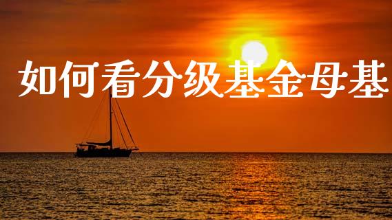 如何看分级基金母基_https://m.lcjysmgs.com_金融服务_第1张