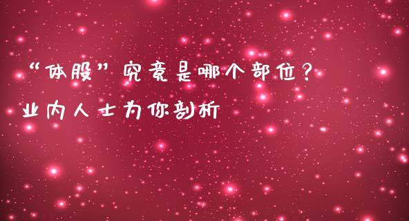 “体股”究竟是哪个部位？业内人士为你剖析_https://m.lcjysmgs.com_基金管理_第1张
