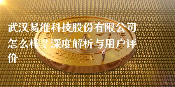 武汉易维科技股份有限公司怎么样？深度解析与用户评价_https://m.lcjysmgs.com_基金管理_第1张