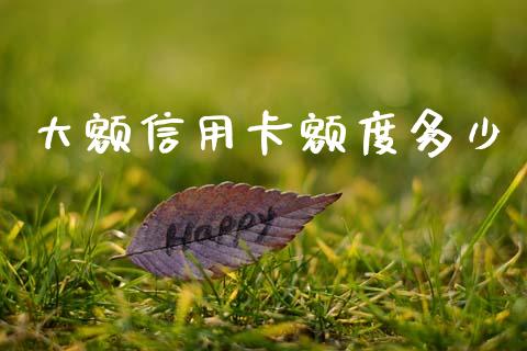 大额信用卡额度多少_https://m.lcjysmgs.com_基金管理_第1张
