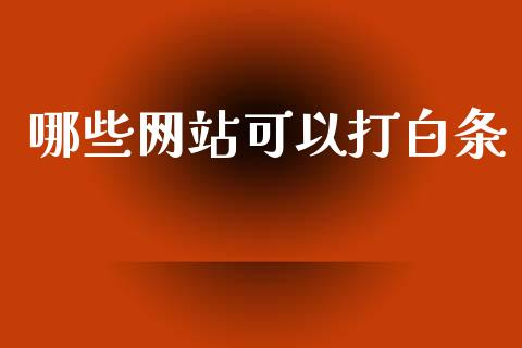 哪些网站可以打白条_https://m.lcjysmgs.com_股权投资_第1张