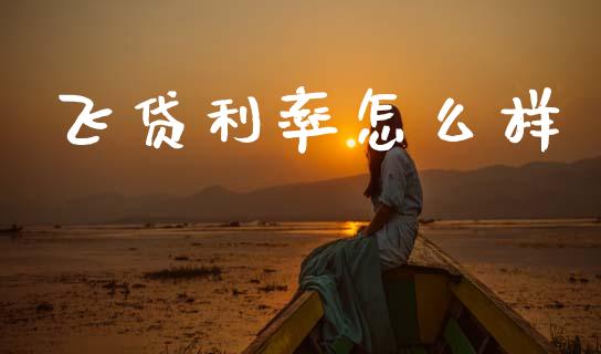 飞贷利率怎么样_https://m.lcjysmgs.com_股票交易_第1张