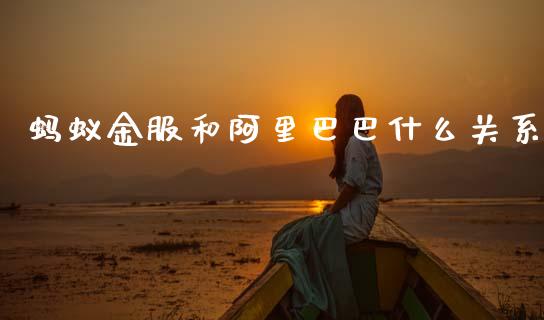 蚂蚁金服和阿里巴巴什么关系_https://m.lcjysmgs.com_股权投资_第1张