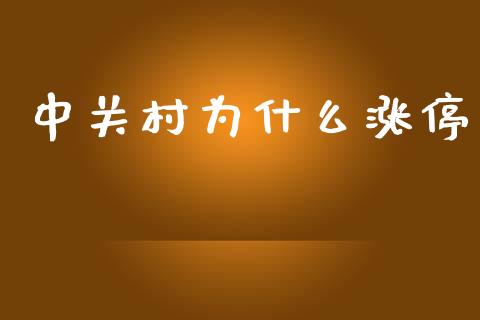 中关村为什么涨停_https://m.lcjysmgs.com_金融服务_第1张