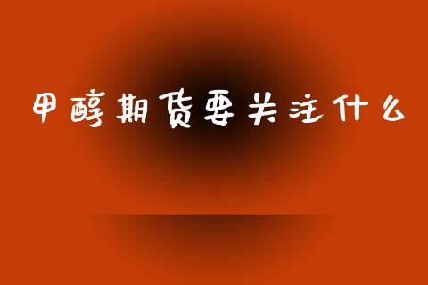 甲醇期货要关注什么_https://m.lcjysmgs.com_金融服务_第1张