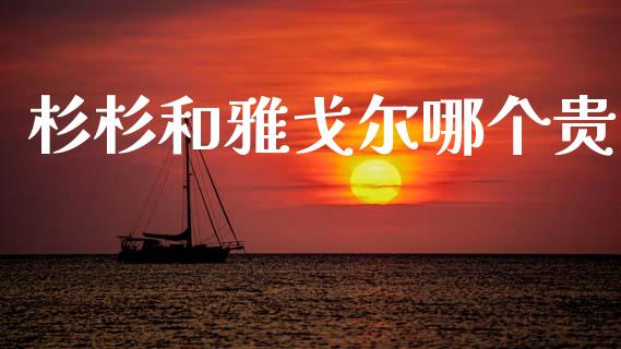 杉杉和雅戈尔哪个贵_https://m.lcjysmgs.com_股票交易_第1张