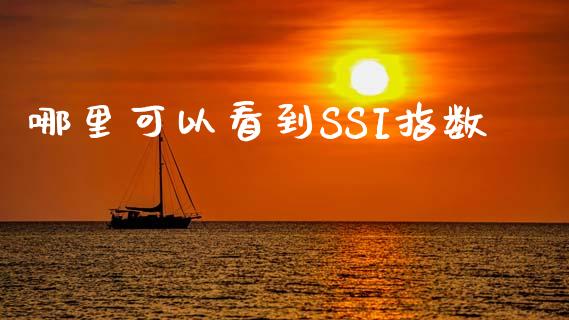 哪里可以看到SSI指数_https://m.lcjysmgs.com_股票交易_第1张