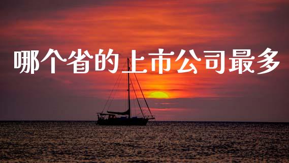 哪个省的上市公司最多_https://m.lcjysmgs.com_基金管理_第1张