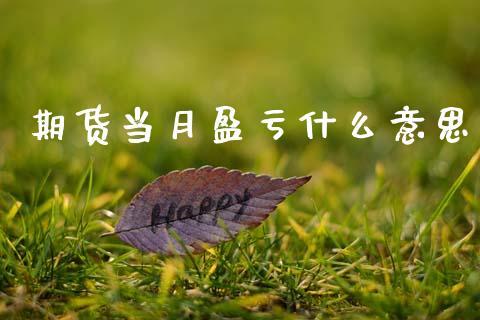 期货当月盈亏什么意思_https://m.lcjysmgs.com_金融服务_第1张