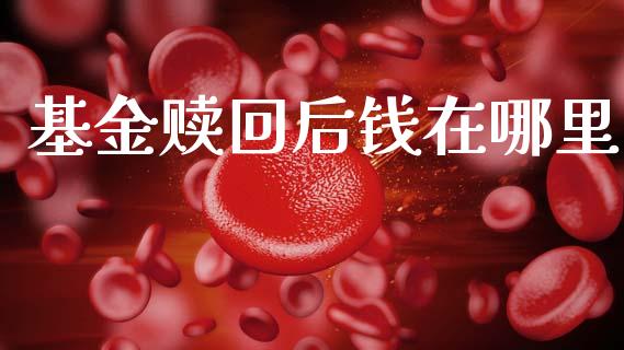 基金赎回后钱在哪里_https://m.lcjysmgs.com_基金管理_第1张