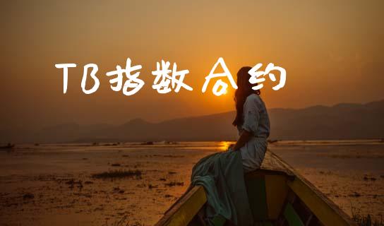 TB指数合约_https://m.lcjysmgs.com_股权投资_第1张