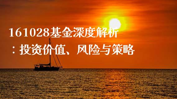 161028基金深度解析：投资价值、风险与策略_https://m.lcjysmgs.com_股权投资_第1张