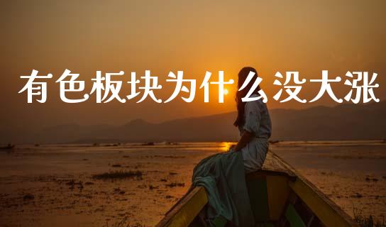 有色板块为什么没大涨_https://m.lcjysmgs.com_基金管理_第1张