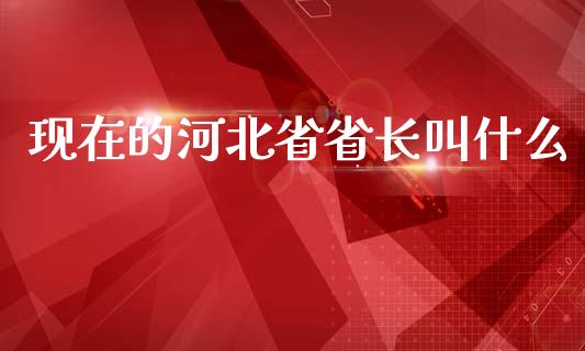 现在的河北省省长叫什么_https://m.lcjysmgs.com_股权投资_第1张