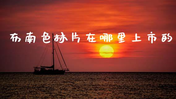 布南色林片在哪里上市的_https://m.lcjysmgs.com_股票交易_第1张