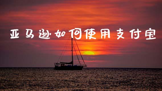 亚马逊如何使用支付宝_https://m.lcjysmgs.com_股权投资_第1张