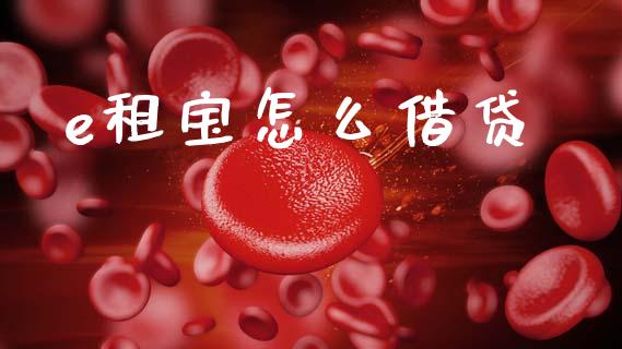 e租宝怎么借贷_https://m.lcjysmgs.com_金融服务_第1张