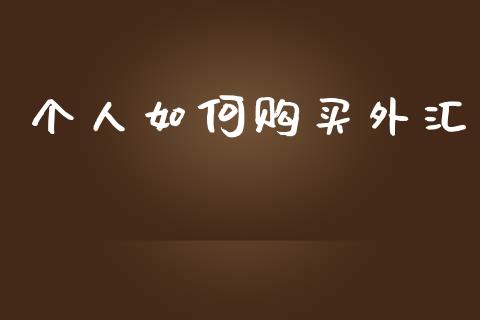 个人如何购买外汇_https://m.lcjysmgs.com_金融服务_第1张