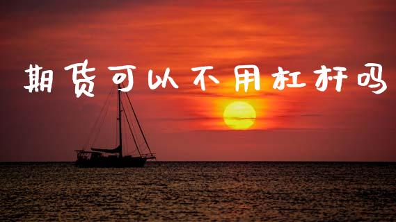 期货可以不用杠杆吗_https://m.lcjysmgs.com_金融服务_第1张