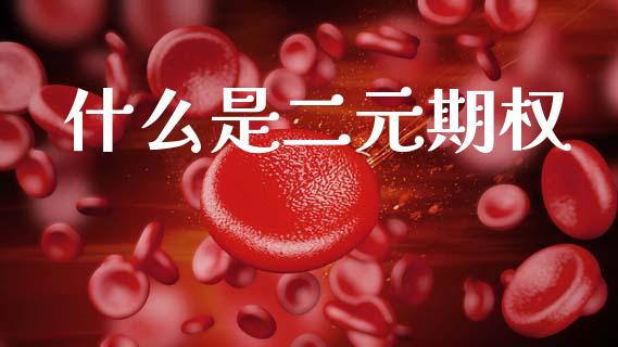 什么是二元期权_https://m.lcjysmgs.com_股权投资_第1张