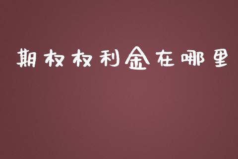 期权权利金在哪里_https://m.lcjysmgs.com_股票交易_第1张