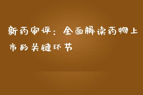 新药审评：全面解读药物上市的关键环节_https://m.lcjysmgs.com_股权投资_第1张