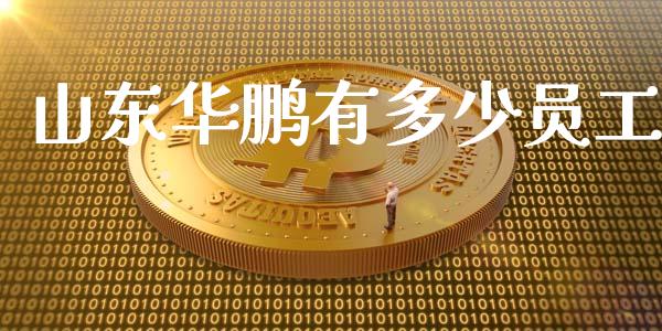 山东华鹏有多少员工_https://m.lcjysmgs.com_股权投资_第1张