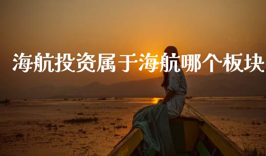 海航投资属于海航哪个板块_https://m.lcjysmgs.com_股权投资_第1张