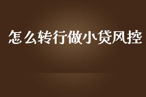 怎么转行做小贷风控_https://m.lcjysmgs.com_金融服务_第1张