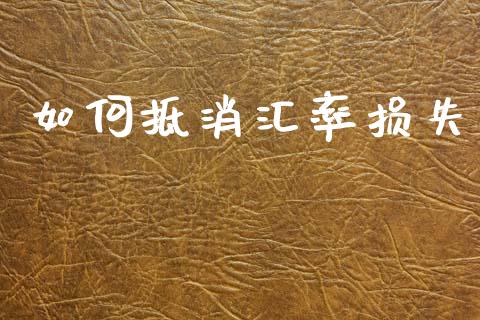 如何抵消汇率损失_https://m.lcjysmgs.com_金融服务_第1张