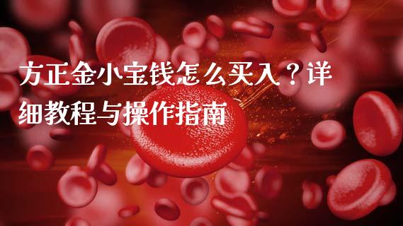 方正金小宝钱怎么买入？详细教程与操作指南_https://m.lcjysmgs.com_基金管理_第1张